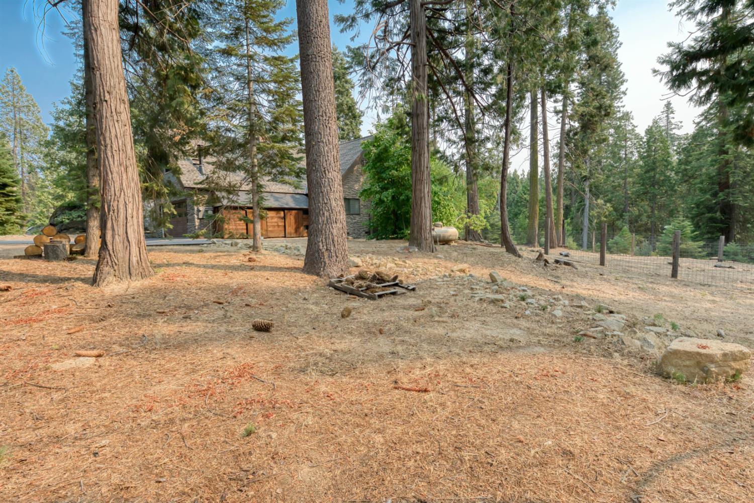 38848 Ridge Road Shaver Lake, CA 93664 - Photo 6 of 81 a view of dirt yard with large trees