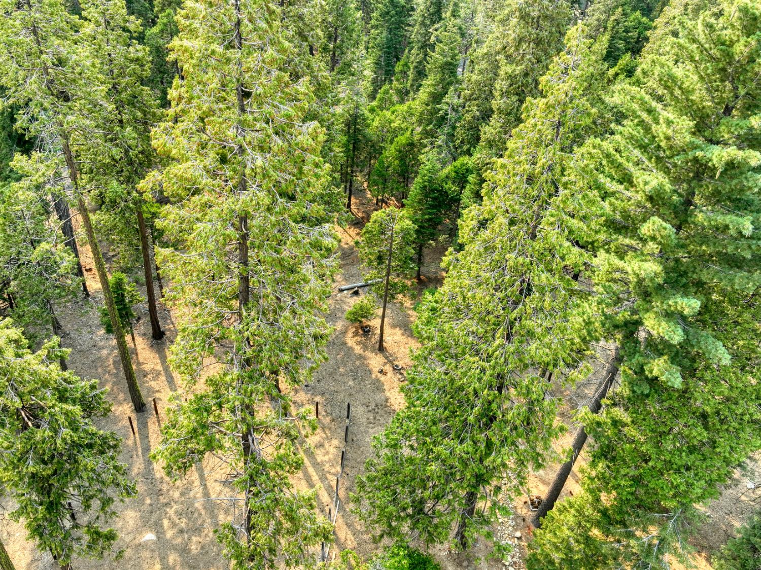 38848 Ridge Road Shaver Lake, CA 93664 - Photo 65 of 81