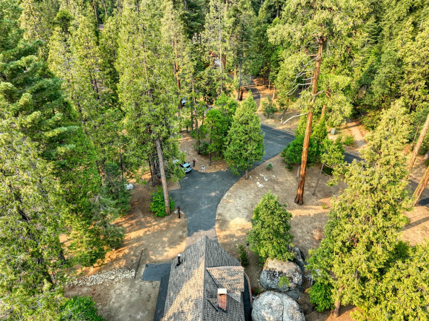 38848 Ridge Road Shaver Lake, CA 93664 - Photo 69 of 81 a backyard of a house with lots of green space