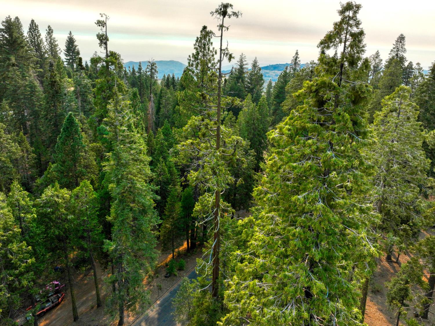 38848 Ridge Road Shaver Lake, CA 93664 - Photo 70 of 81 a view of a city with lush green forest