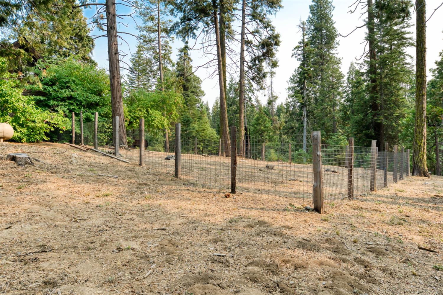 38848 Ridge Road Shaver Lake, CA 93664 - Photo 7 of 81 a view of empty space with large trees