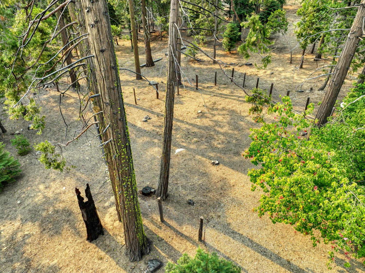 38848 Ridge Road Shaver Lake, CA 93664 - Photo 71 of 81