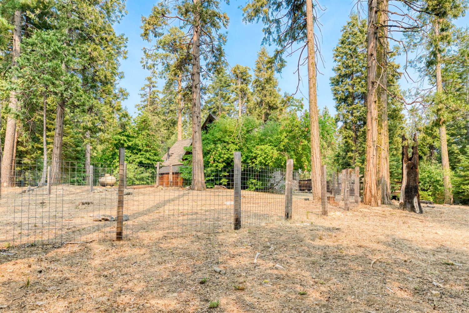 38848 Ridge Road Shaver Lake, CA 93664 - Photo 8 of 81 a view of a house with a tree