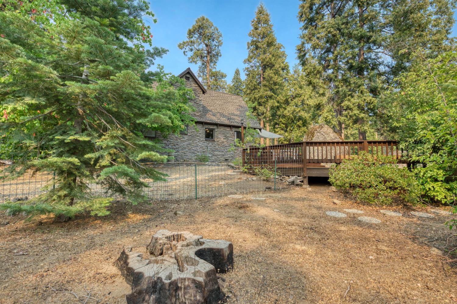 38848 Ridge Road Shaver Lake, CA 93664 - Photo 9 of 81 a view of a yard with plants and trees