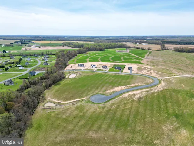 a view of a swimming pool with a yard