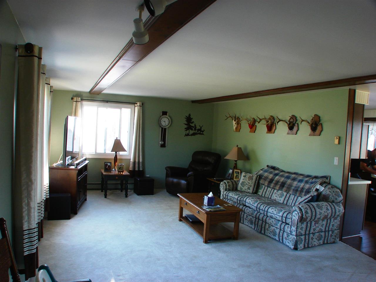 328 East St Charles Road Ithaca, MI 48847 - Photo 18 of 54 1839405-20.JPG