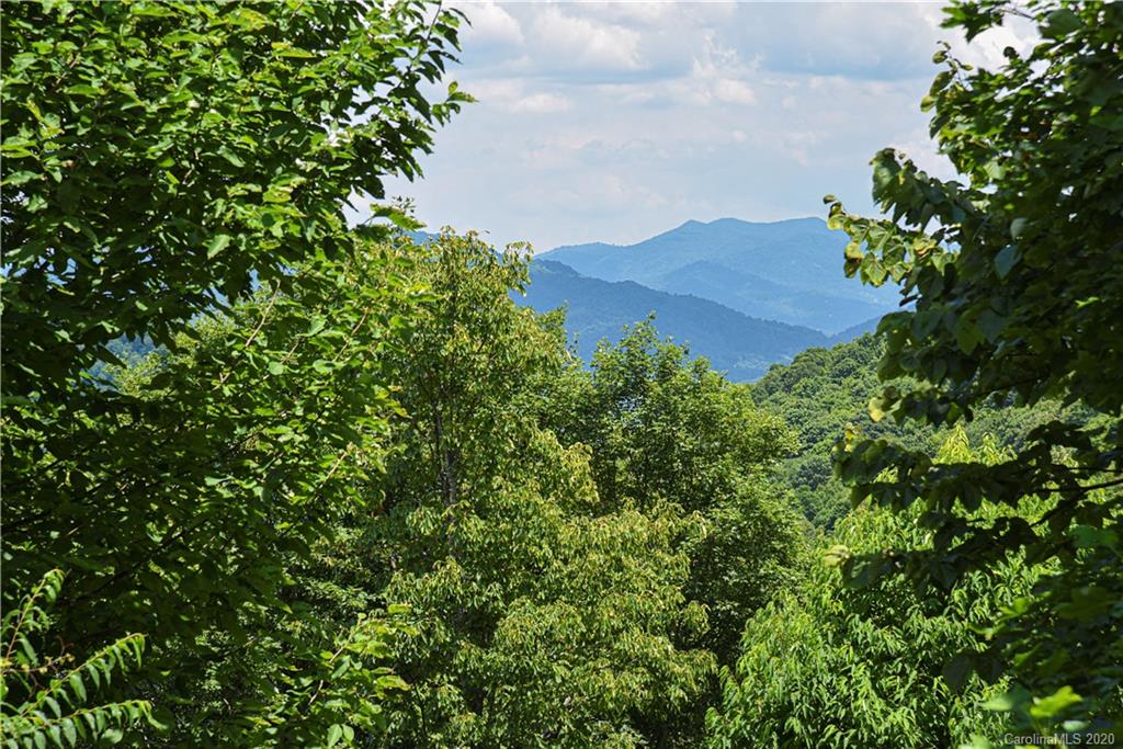 376 Chimney Ridge Trail Waynesville, NC 28786 - Photo 8 of 40 Gallery Image 8