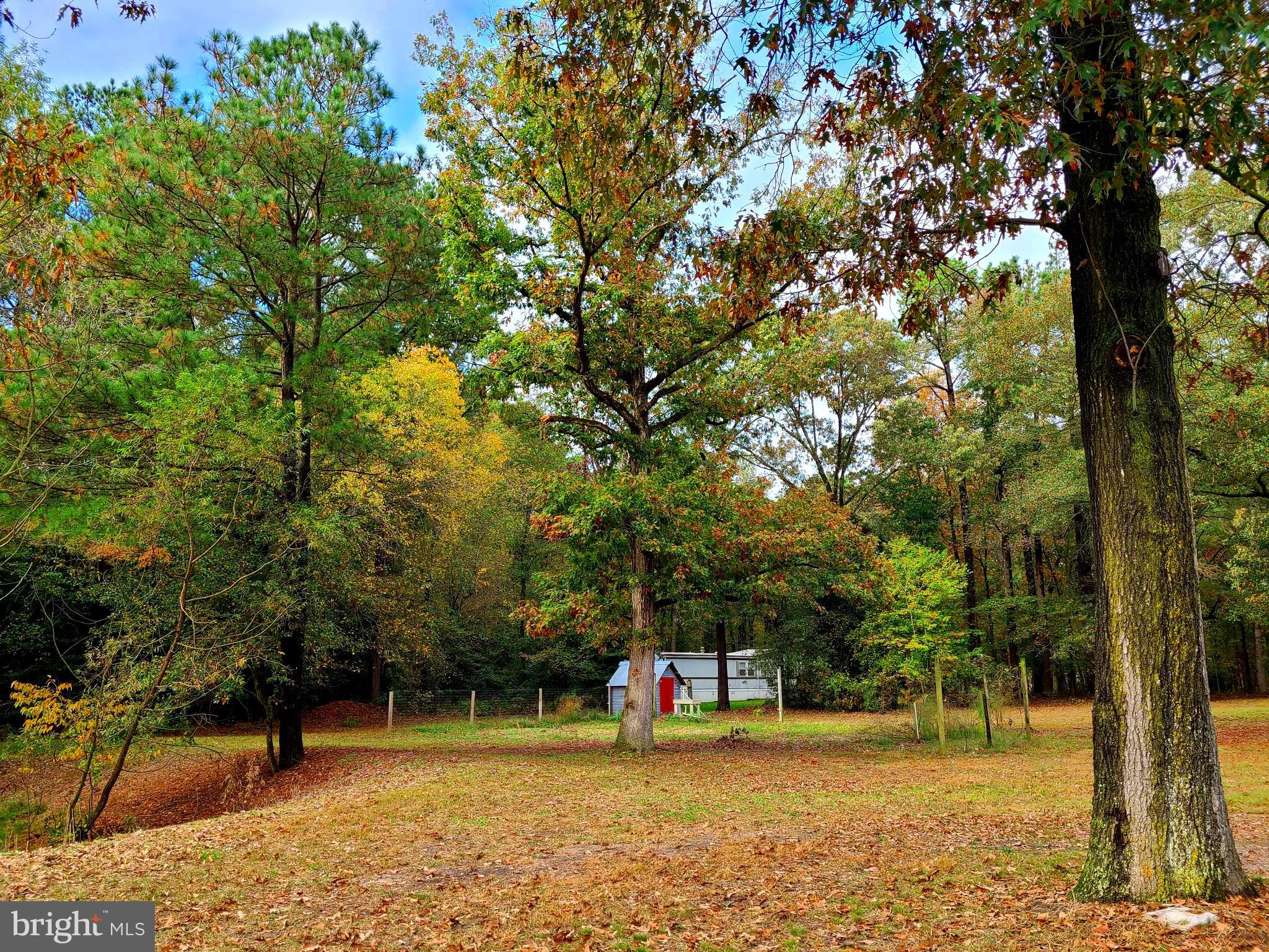 18588 Sand Hill Road Georgetown, DE 19947 - Photo 21 of 72 Big Garden Area