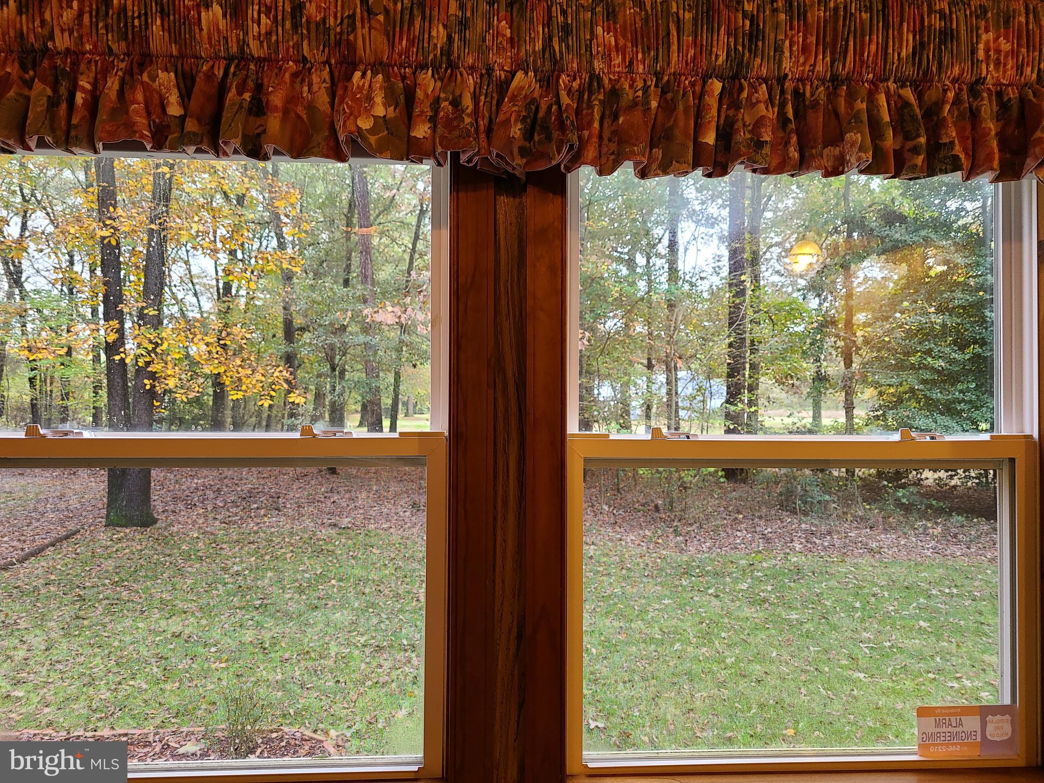 18588 Sand Hill Road Georgetown, DE 19947 - Photo 46 of 72 Gorgeous Views outside Of Every Window