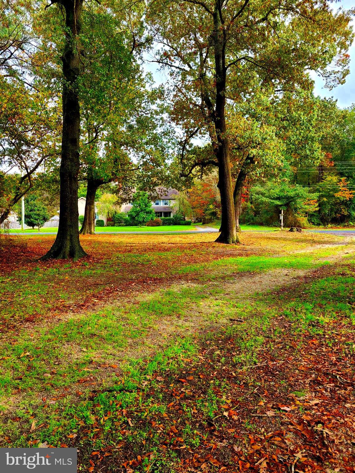 18588 Sand Hill Road Georgetown, DE 19947 - Photo 64 of 72 View To Road- Across Street