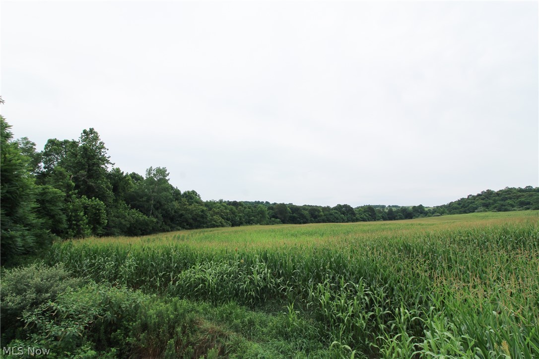 93 State Road Kimbolton, OH 43749 - Photo 12 of 35 Gallery Image 12