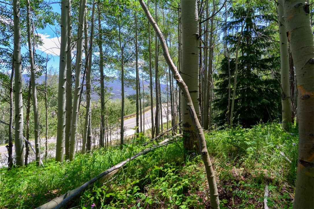 1815 Golden Eagle Road Silverthorne, CO 80498 - Photo 14 of 30 Gallery Image 14
