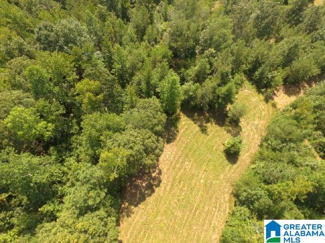 2265 State Lake Road Lineville, AL 36266 - Photo 36 of 39