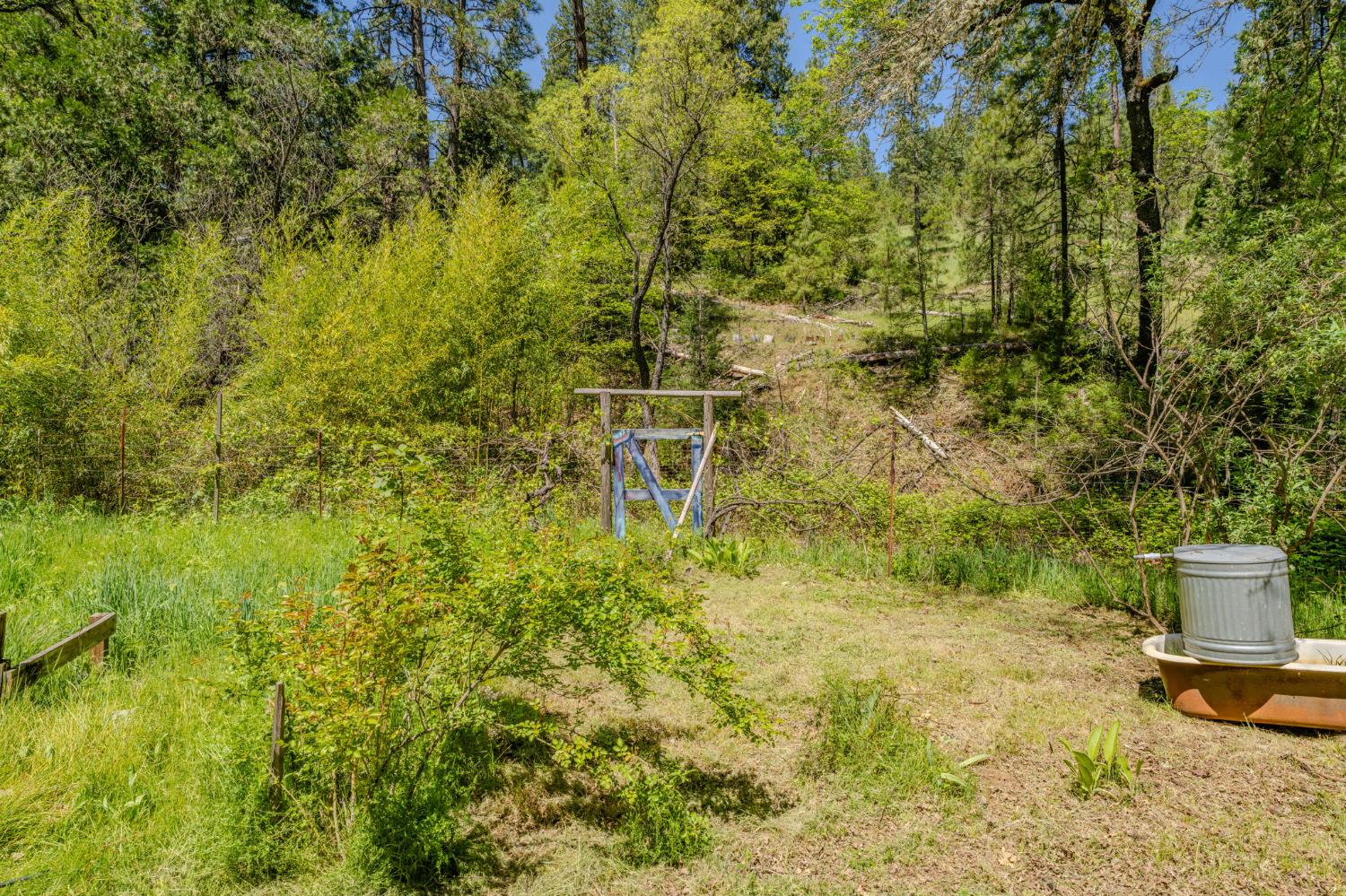 4040 Cedar Creek Road Fiddletown, CA 95629 - Photo 52 of 71