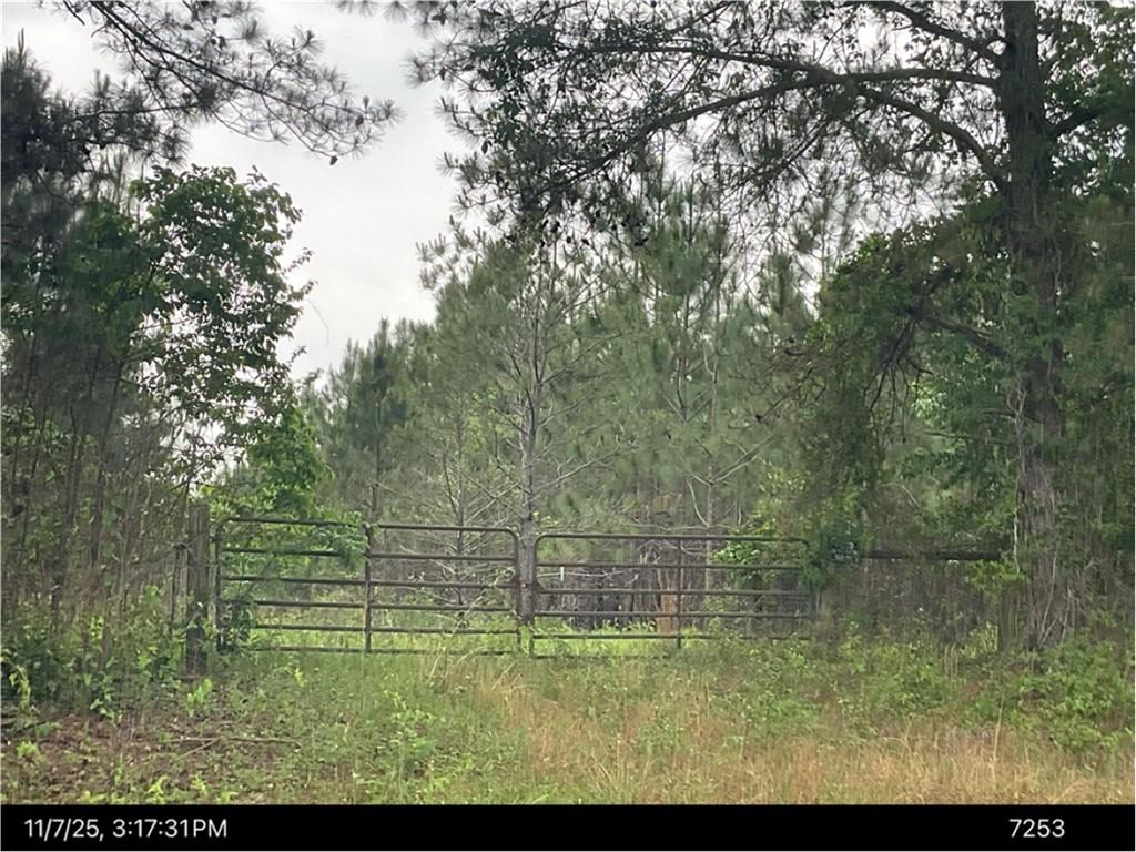 0 Broad Street Sparta, GA 31087 - Photo 1 of 2