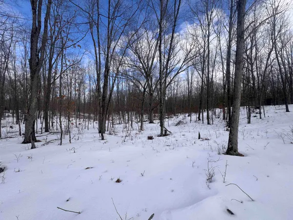 $32,900 | Rhett Lane, Unit 16, Wausaukee, WI 54177