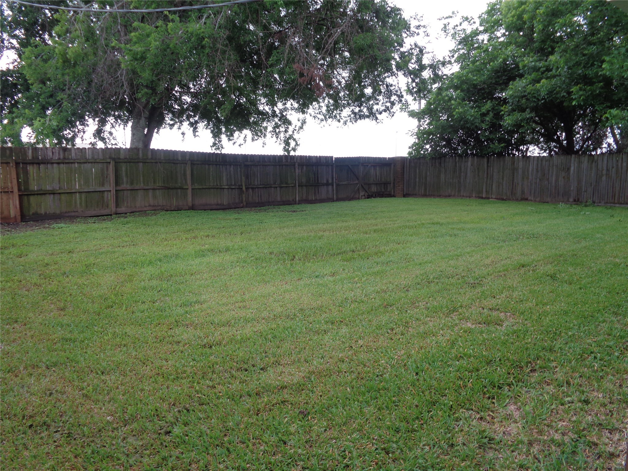 1229 Clover Drive Angleton, TX 77515 - Photo 7 of 7 a view of a backyard with large trees and wooden fence