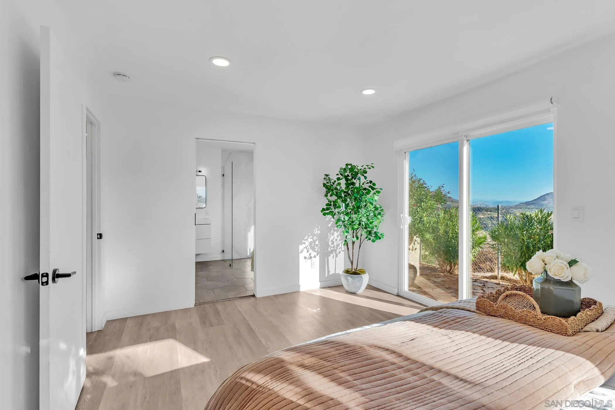 1029 Rainbow Valley Court Fallbrook, CA 92028 - Photo 50 of 75 a bedroom with a large bed and a potted plant