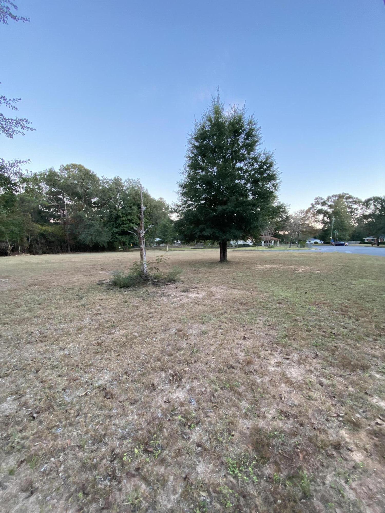 Xx Jones Road Crestview, FL 32536 - Photo 4 of 5 XX Jones 4