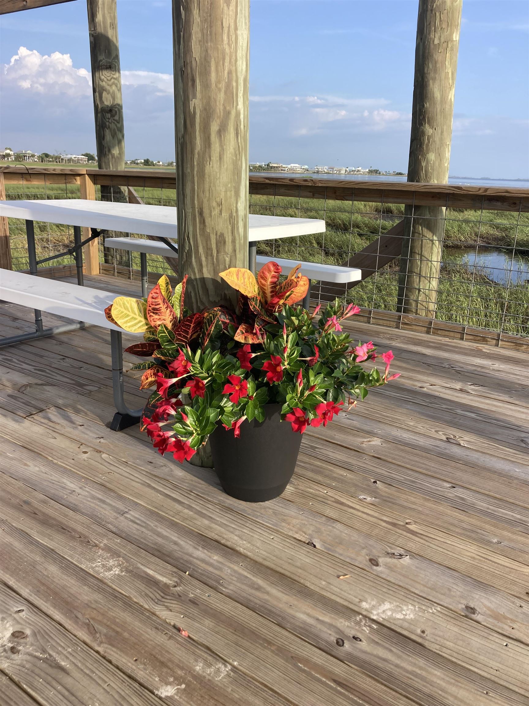 1824 Ezell Beach Road Perry, FL 32348 - Photo 4 of 30 Gallery Image 4