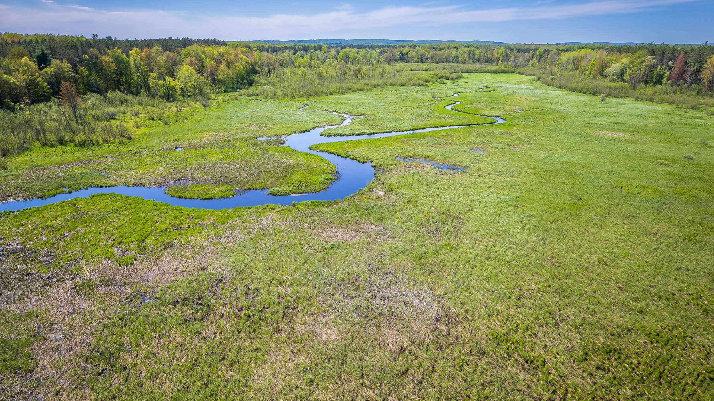 0 Makinen Road Kaleva, MI 49645 - Photo 14 of 25