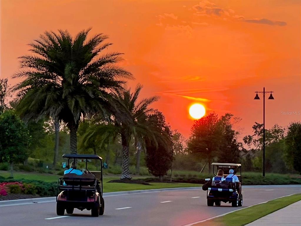 5931 Brandon Run Bradenton, FL 34211 - Photo 36 of 42 a car parked on the side of the road