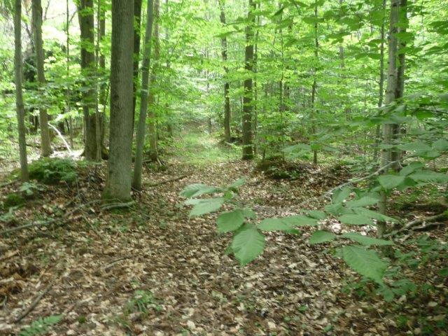 Ball Road Levering, MI 49755 - Photo 26 of 26 Gallery Image 26