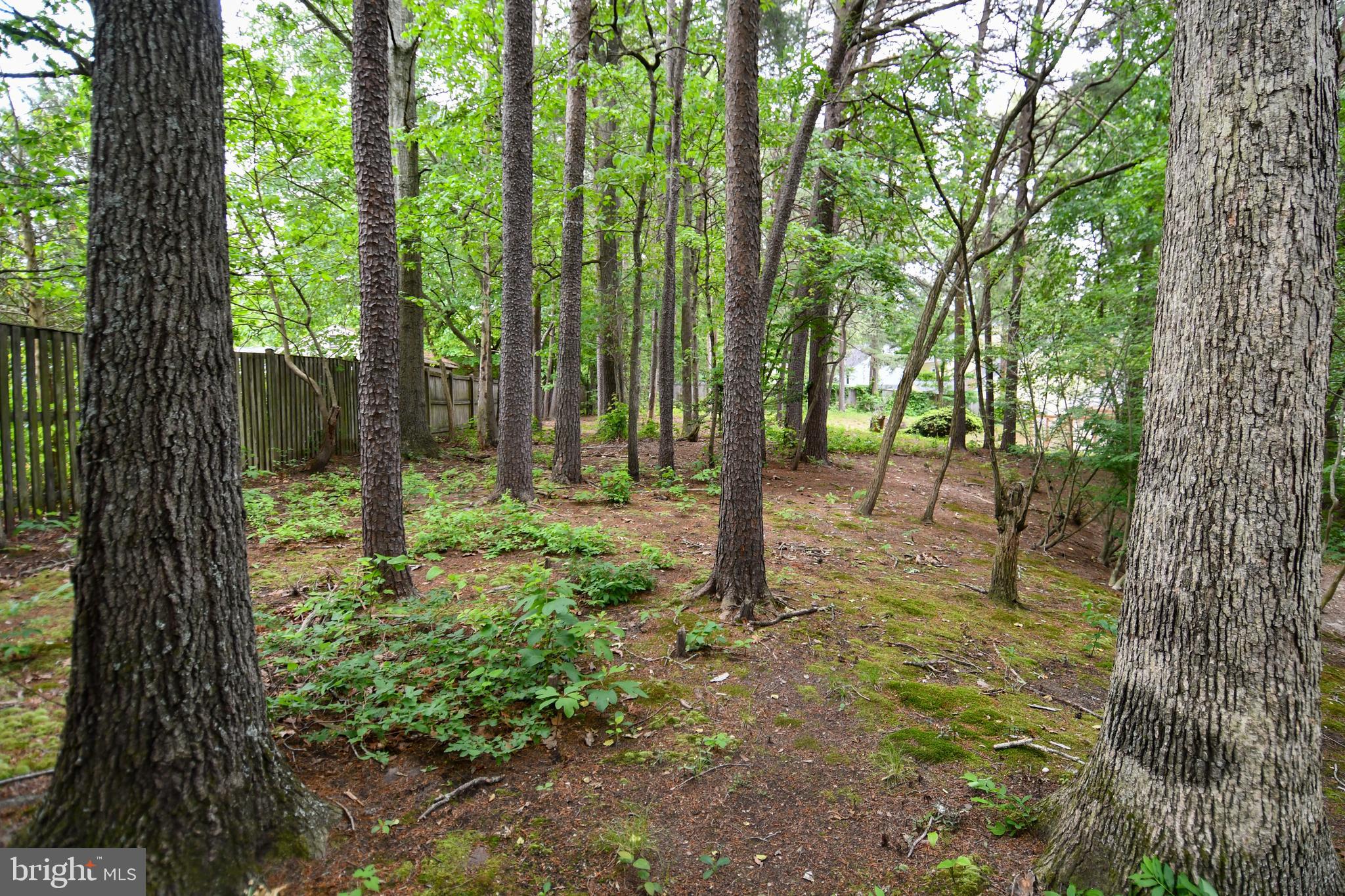 3505 Fox Ridge Road Waldorf, MD 20601 - Photo 41 of 41 Gallery Image 41