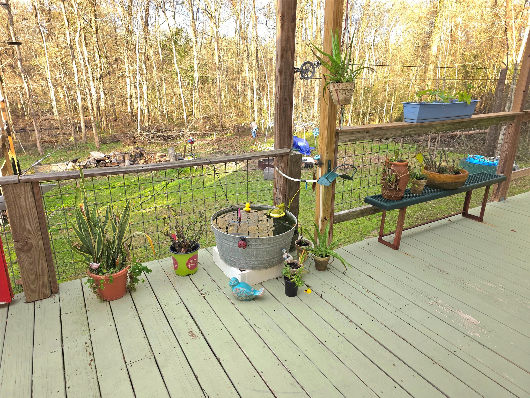 978 County Road 2859 Cleveland, TX 77327 - Photo 45 of 50 Back Yard view