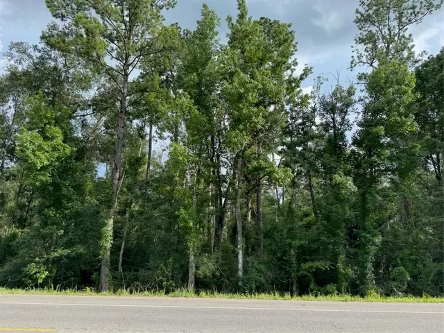 $62,900 | 7 Florida Boulevard, Walker, LA 70785