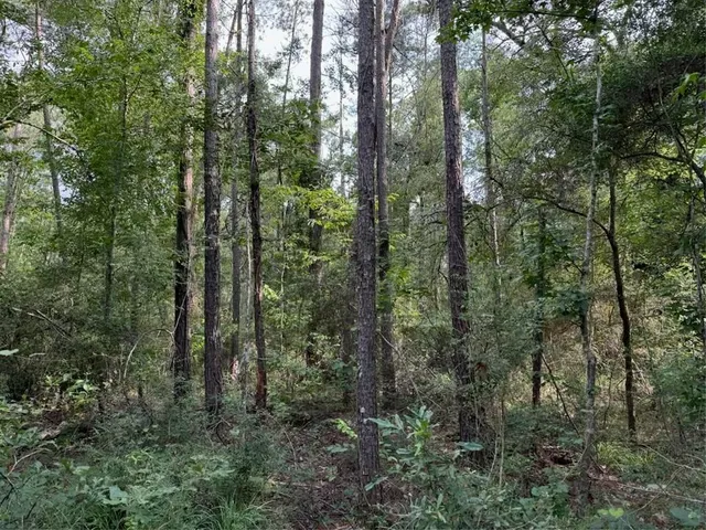 $62,900 | 7 Florida Boulevard, Walker, LA 70785