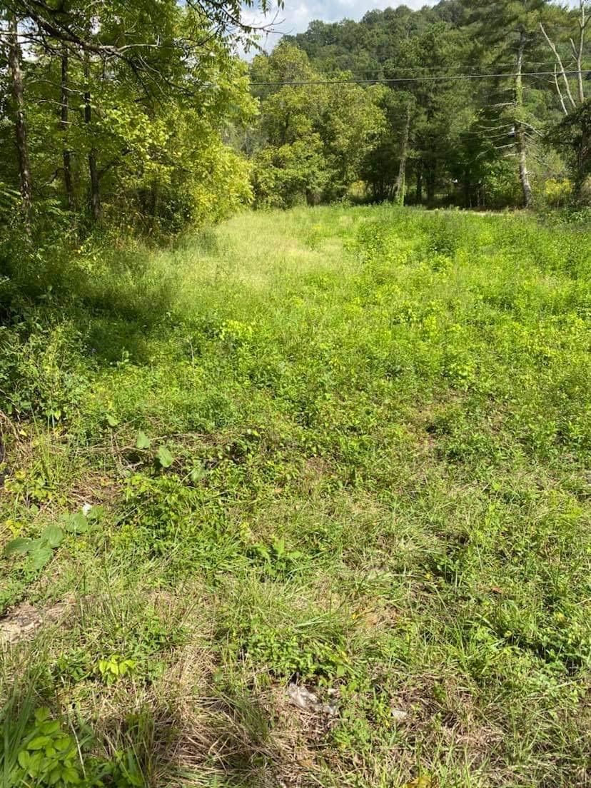 9999 Chestnut Branch Road Manchester, KY 40962 - Photo 24 of 28 B8C75BF9-7904-4CF2-9253-2E0A5E8BF7B9