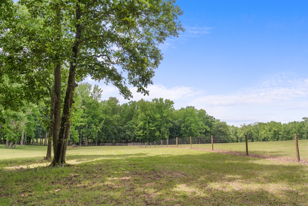 186 Beech Springs Road Pine Mountain, GA 31822 - Photo 54 of 59