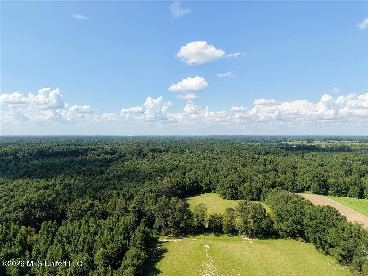 3224 Old Jackson Road Forest, MS 39074 - Photo 29 of 30 43-3224OldJacksonRd_LoperMediaCo44