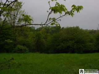 Burnham Road Cassadaga, NY 14718 - Photo 1 of 1