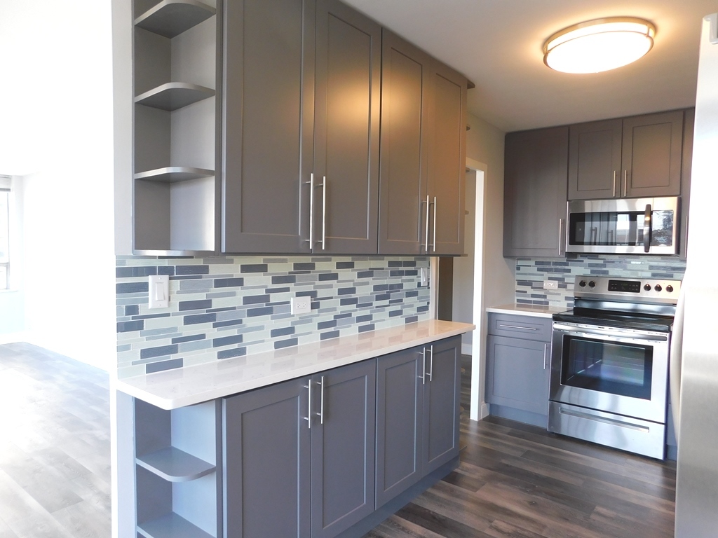 5701 North Sheridan Road, Unit 12L Chicago, IL 60660 - Photo 16 of 42 a kitchen with stainless steel appliances granite countertop a sink and a stove