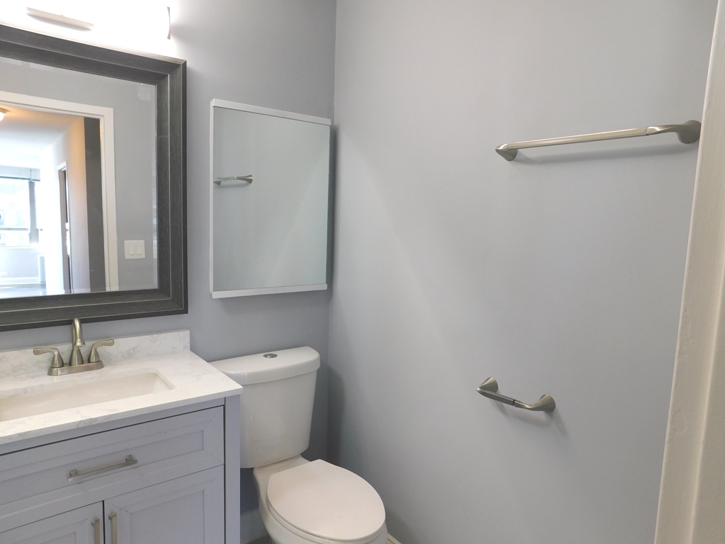 5701 North Sheridan Road, Unit 12L Chicago, IL 60660 - Photo 22 of 42 a bathroom with a sink a toilet and a mirror