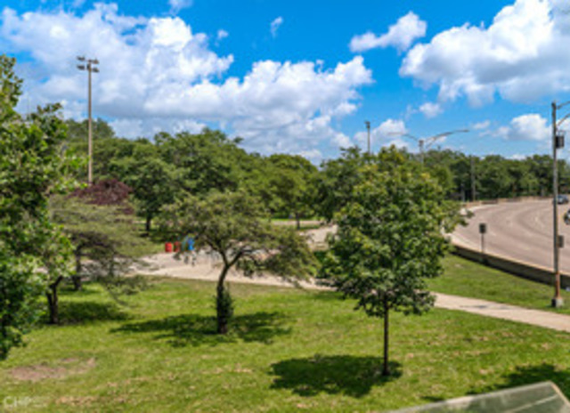 5701 North Sheridan Road, Unit 12L Chicago, IL 60660 - Photo 41 of 42 a view of a garden with a tree in the background