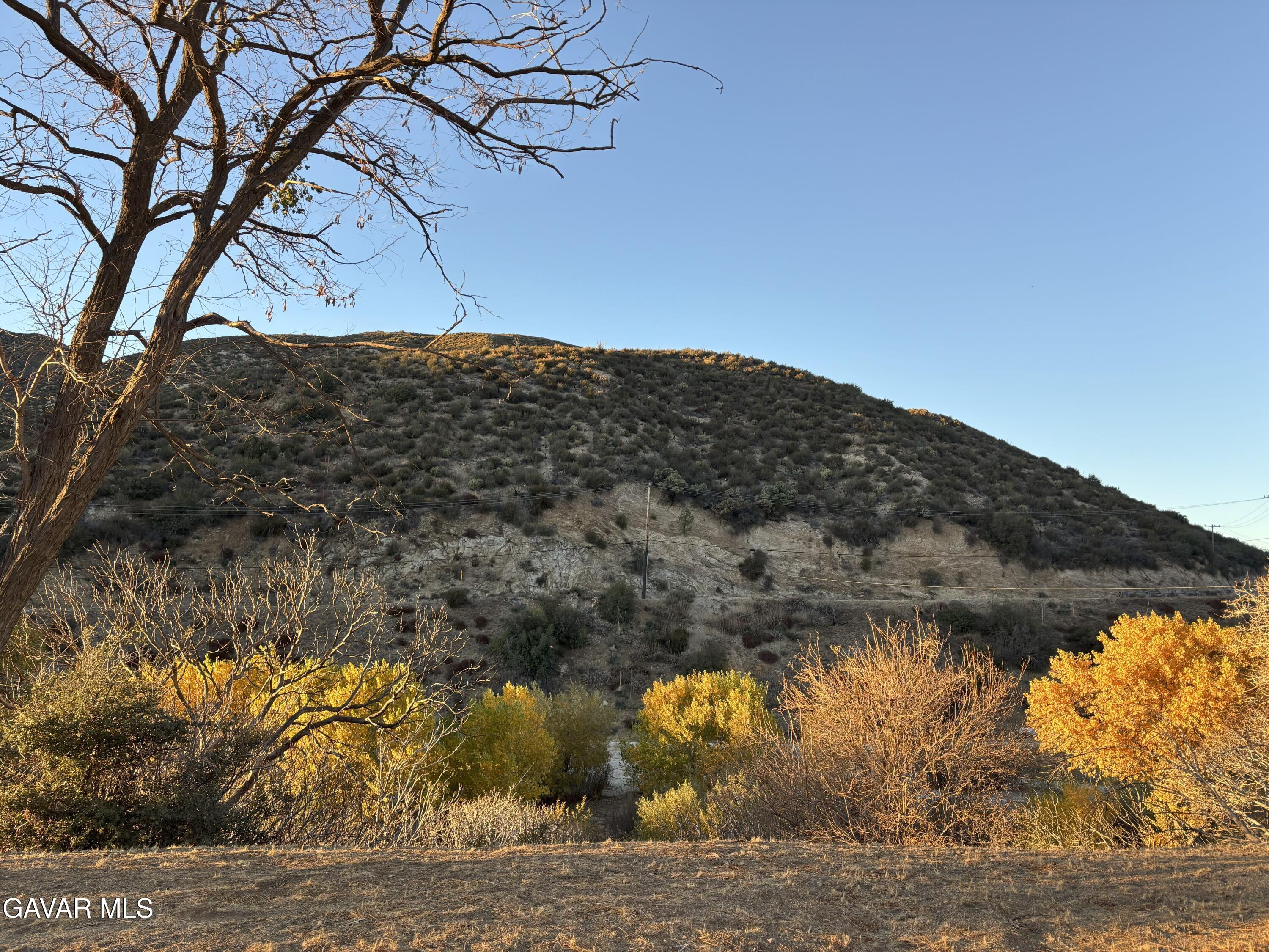 42930 Lake Hughes Road Lake Hughes, CA 93532 - Photo 26 of 38 a view of a backyard of the house