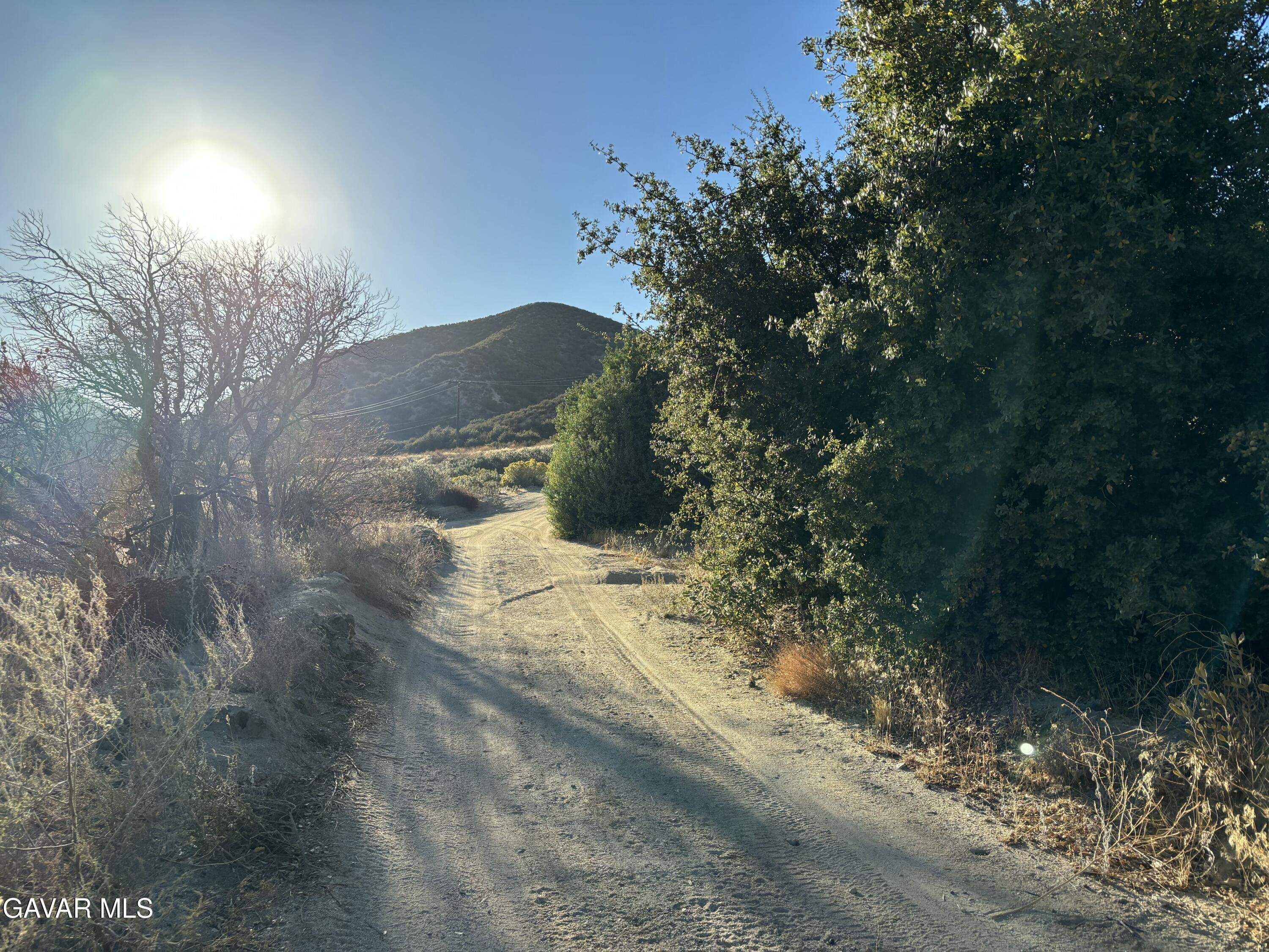 42930 Lake Hughes Road Lake Hughes, CA 93532 - Photo 34 of 38 a view of a yard with a tree