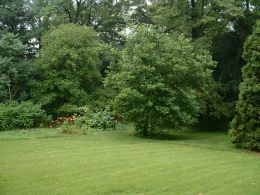 10 Fairview Road Forest Hills, PA 15221 - Photo 8 of 8 Other.