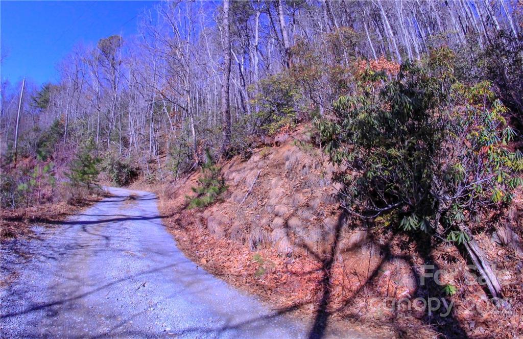 0 Avant Road Canton, NC 28716 - Photo 3 of 19 a view of a yard with a tree