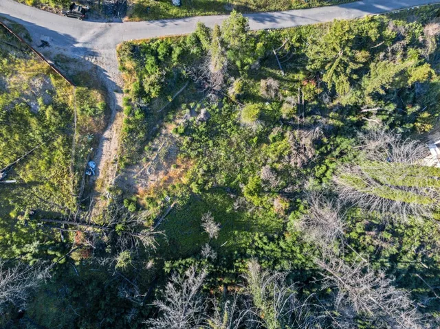 a view of a lake with a city