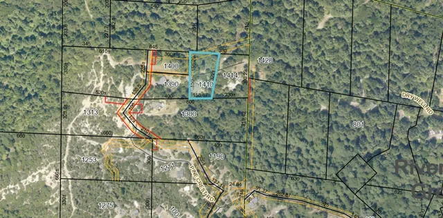 a view of a yard with plants and a bench