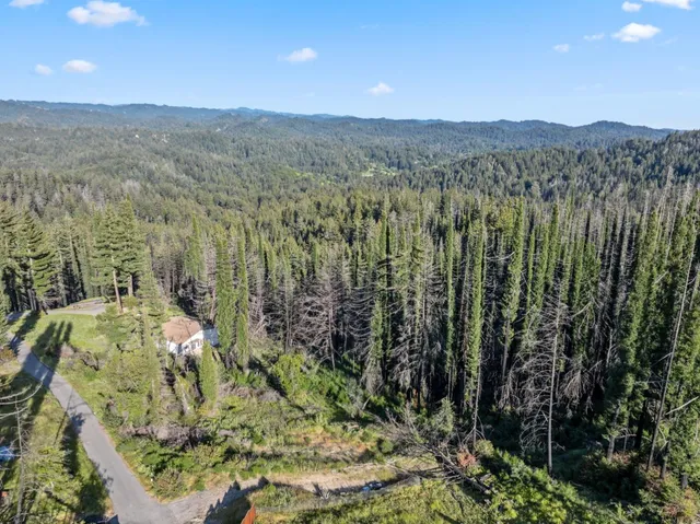 a view of a city with lush green forest