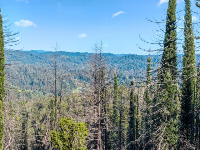 a view of a dry yard