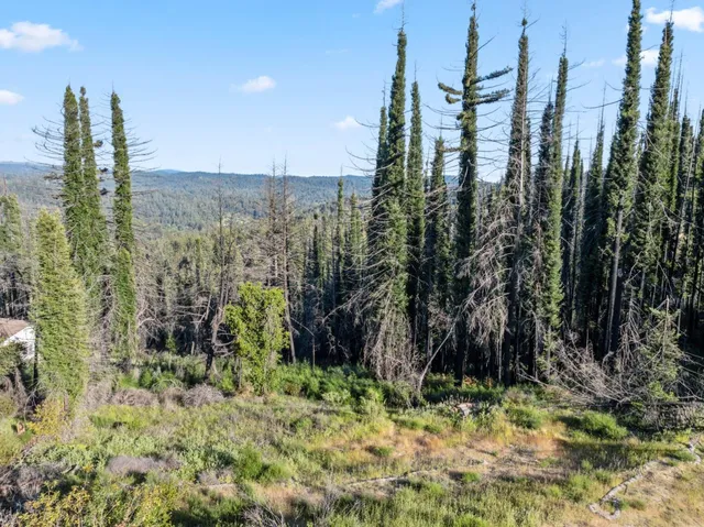 a view of a garden with tall buildings