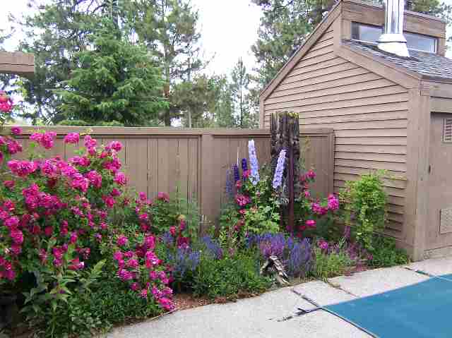 11922 North Wood Road Reardan, WA 99029 - Photo 8 of 9 Gallery Image 8