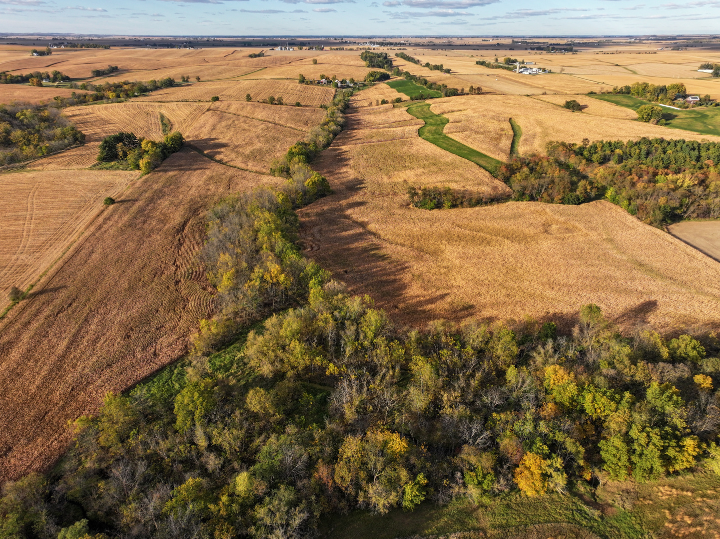 0 North Mt Vernon Road Forreston, IL 61030 - Photo 15 of 54 Gallery Image 15