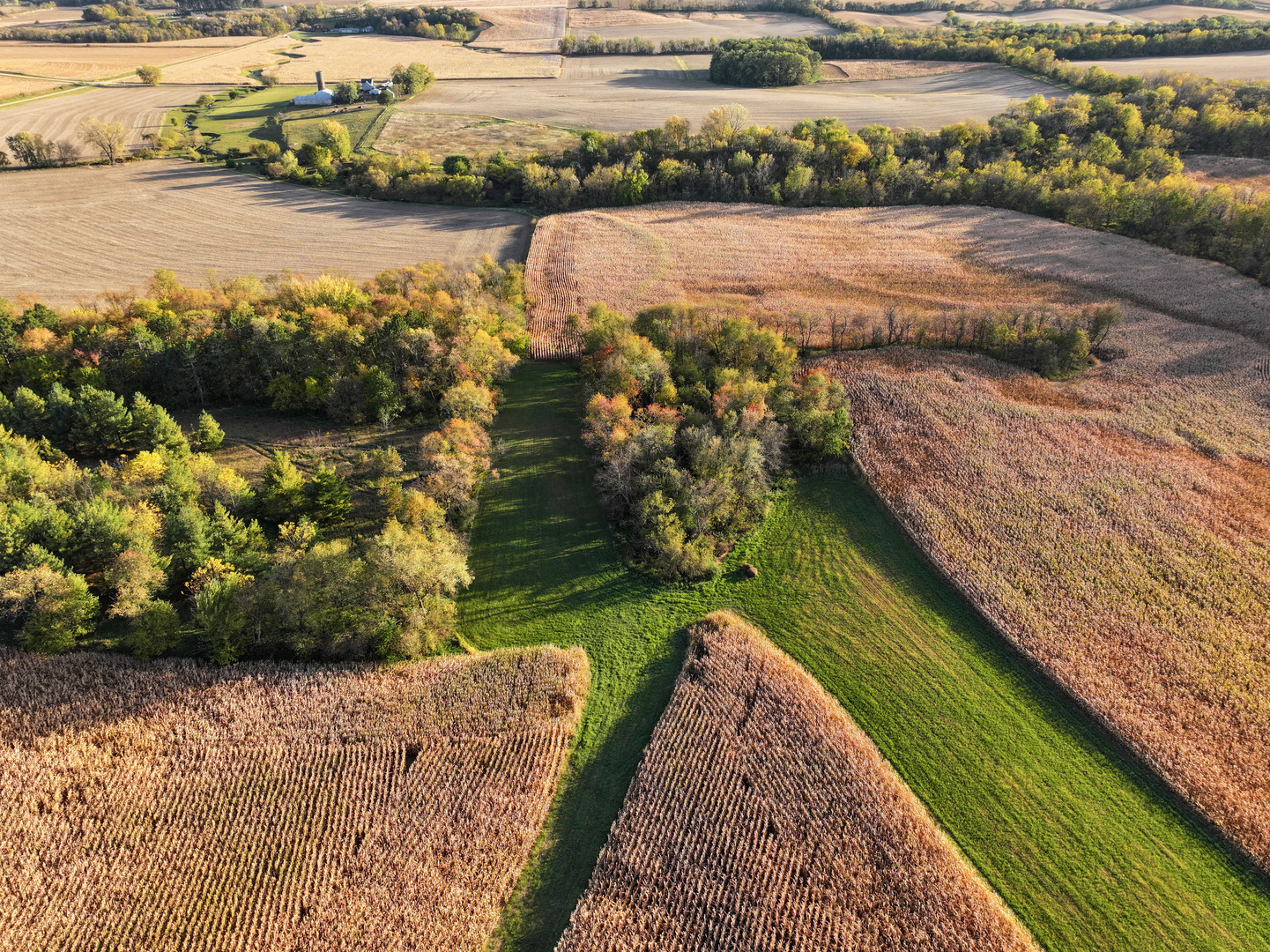 0 North Mt Vernon Road Forreston, IL 61030 - Photo 25 of 54 Gallery Image 25